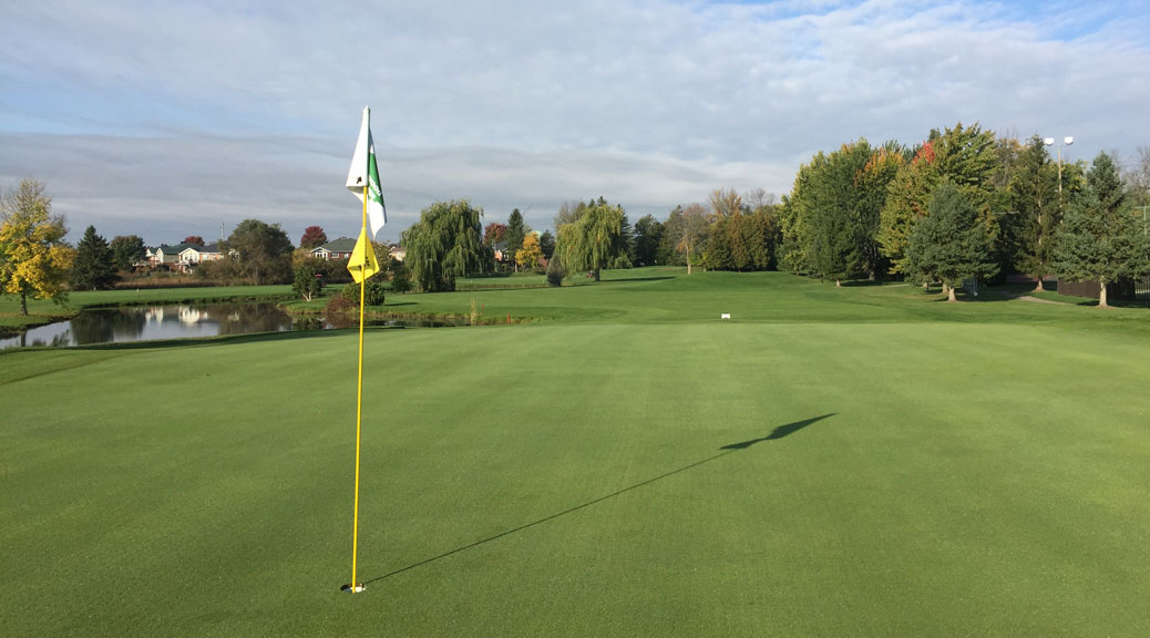 Amberwood Village Golf Green