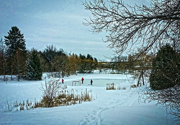 Pond Rink, Just off Beverly St where Poole creek forms a pond. Photo by Barry Gray.