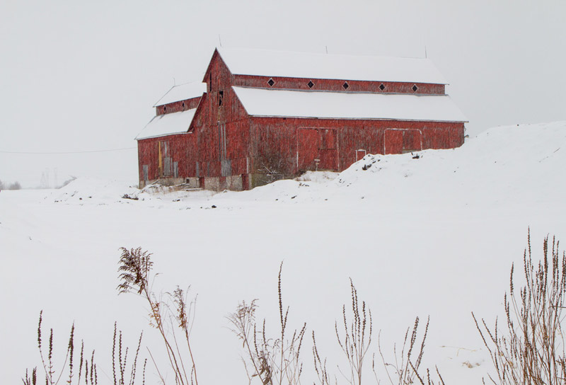 The Bradley-Craig barn, under freshly-fallen snow. Photo by Rob Hambly.