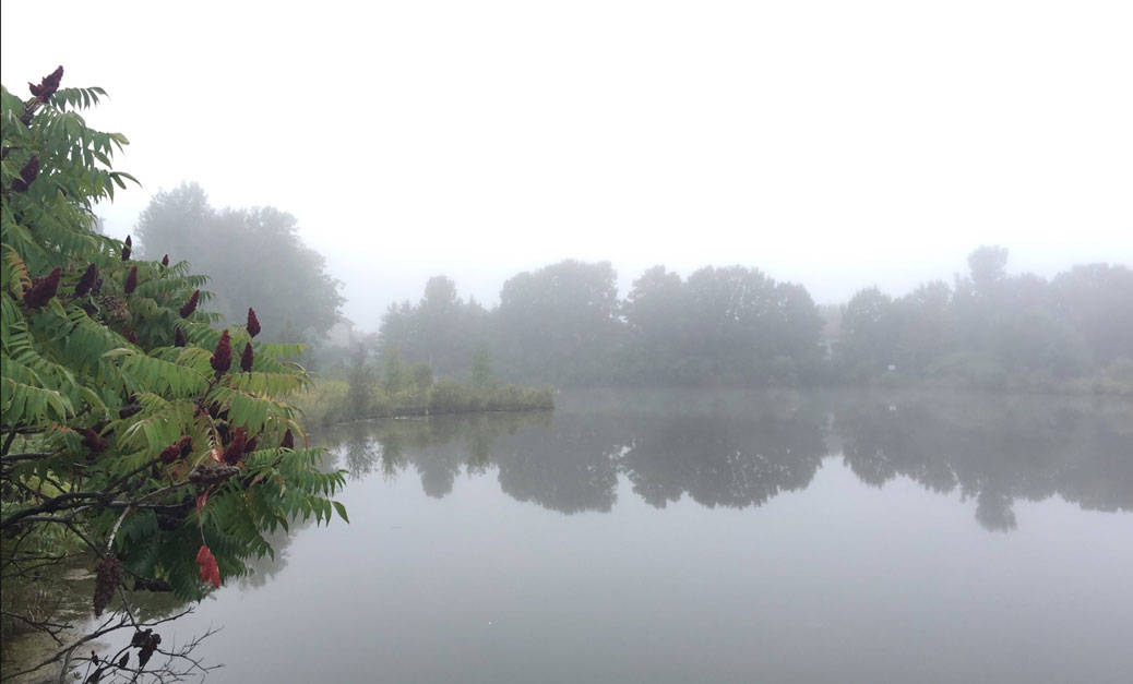 A misty morning at the Granite Ridge stormwater pond. Photo by Stephany Castilla on Wednesday, September 6.