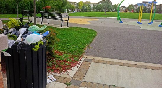 Overflowing dog waste bin at Bandmaster Park
