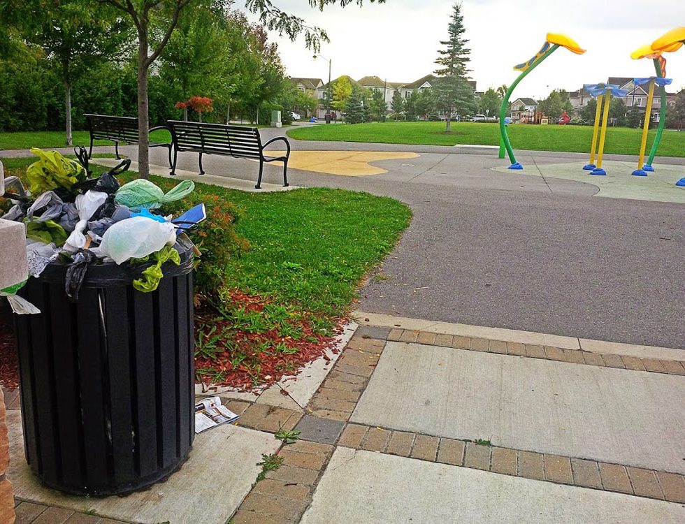 Overflowing dog waste bin at Bandmaster Park