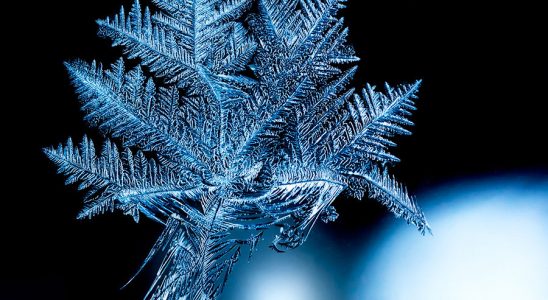 Maple Leaf Crystal, by John Edkins. "I saw it on my window and thought it looked like a lot like a maple leaf."