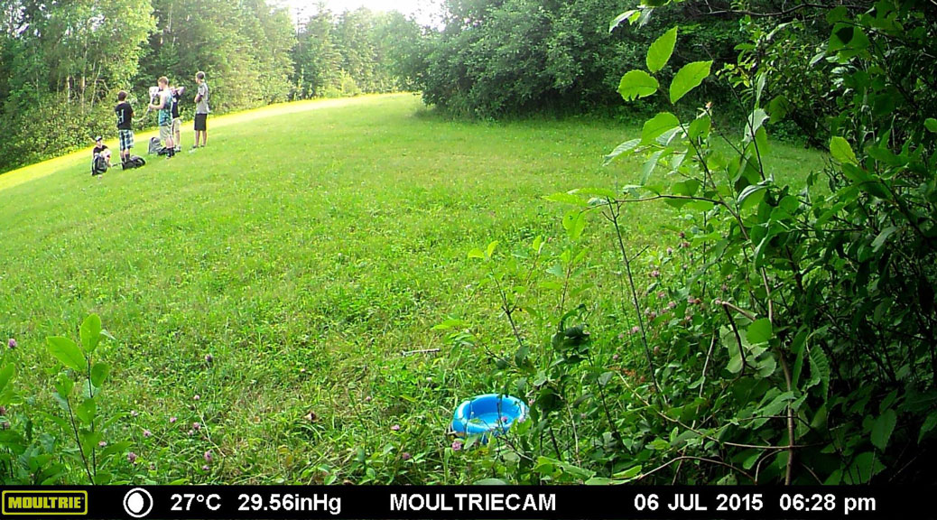 Image from the Finding Holly Trail Cam
